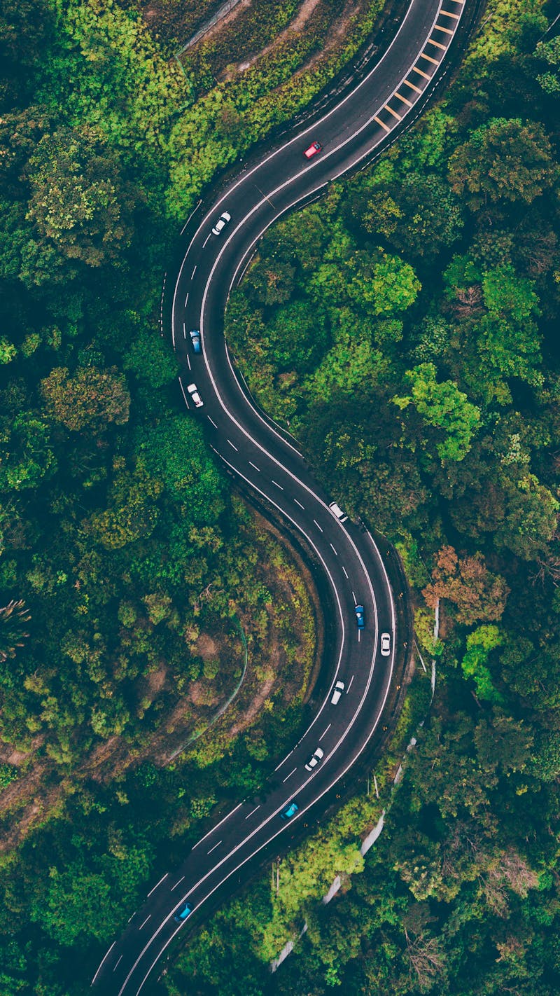 Aerial view of winding highway through forest
